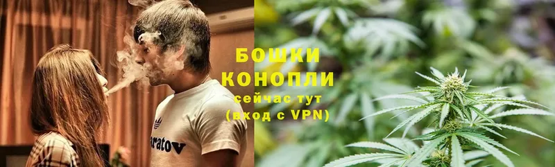 Конопля Ganja  сколько стоит  Касимов 